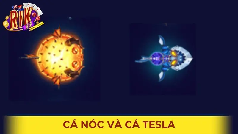 Các loài cá mang tính năng đặc biệt trong game