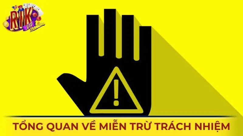 Tổng quan chính sách